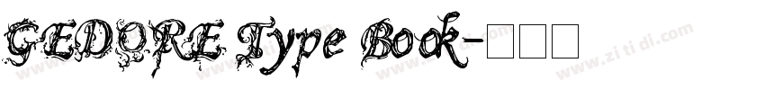 GEDORE Type Book字体转换